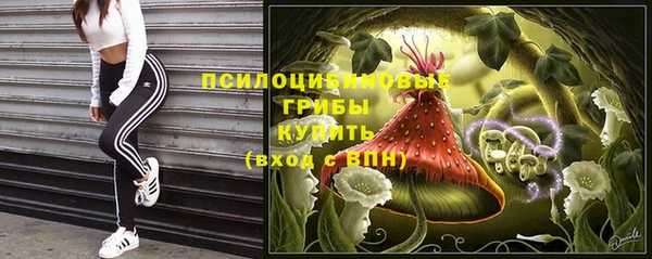 метадон Зеленодольск