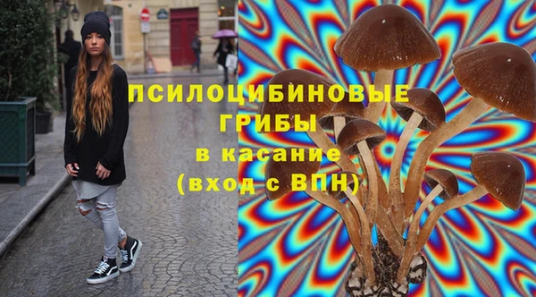 метадон Зеленодольск