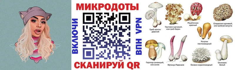 Псилоцибиновые грибы Psilocybine cubensis Минусинск