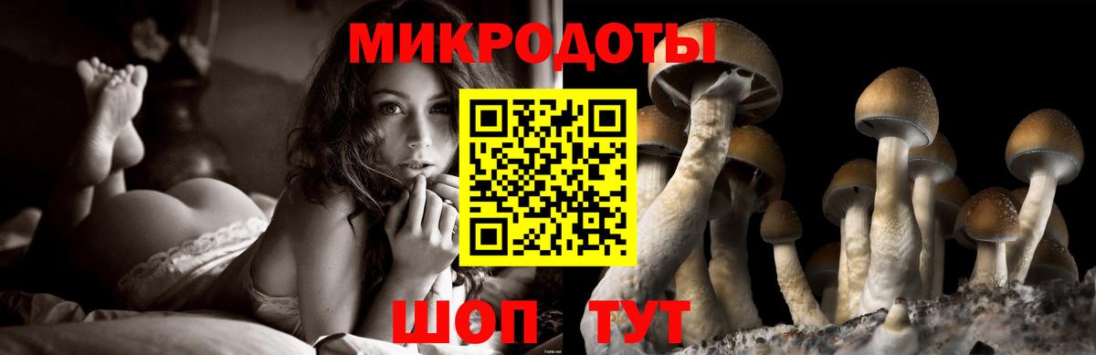 Псилоцибиновые грибы GOLDEN TEACHER Минусинск